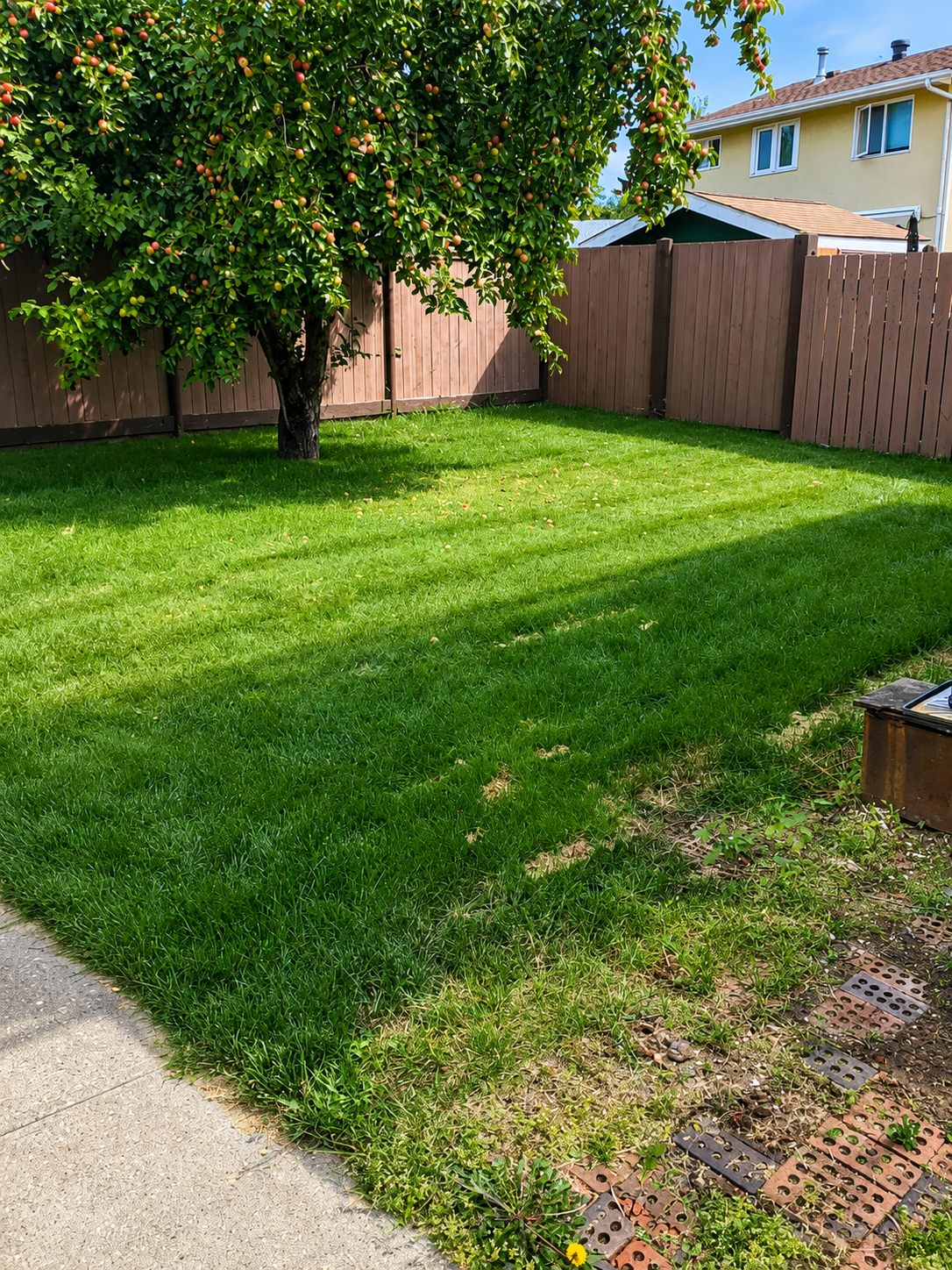 Property thumbnail image